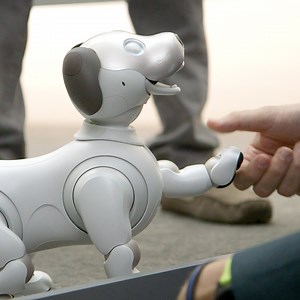 105K views · 995 reactions | Sony's new Aibo is a very good robot dog. | Verge Reviews | Facebook