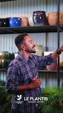 Upgrade Your Garden with Vietnam Pots