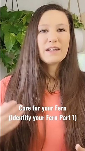 Basics of Fern Care: Identify And Care For Your Ferns (Identify your Fern Part 1)