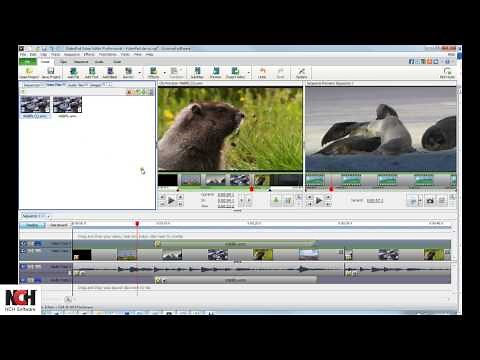 VideoPad Video Editing Software | Editing Clips Tutorial