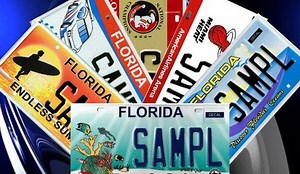 Florida Specialty License Plates - Show Your Support!