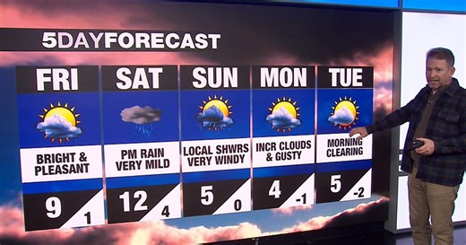 Toronto weather: Periods of moderate rain this weekend