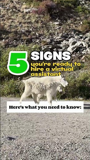 5 Signs Youre Ready to Hire a Virtual Assistant #shorts