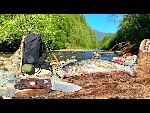 WILD TROUT Fishing in MOUNTAIN RIVER!!! (Catch, Cook, Camp)