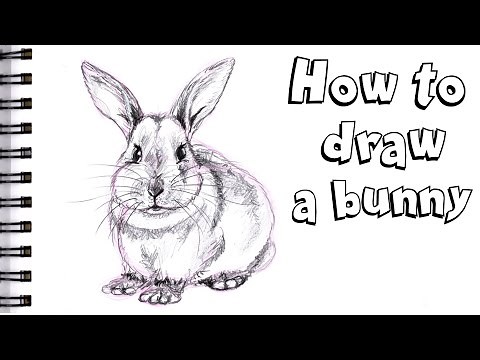 HOW TO DRAW A BUNNY Step by Step Pencil Drawing Tutorial. Realistic guided drawing of a a rabbit