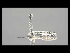 3d snake skeleton rigged