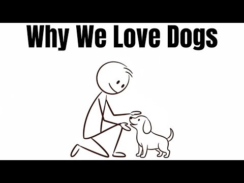 Psychology of People Who Love Dogs