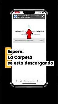 Cómo Descargar Todas las Fotos de tu Galería en Pixieset | Paso a Paso