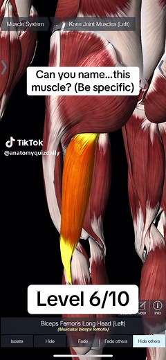 anatomyquizdaily on TikTok