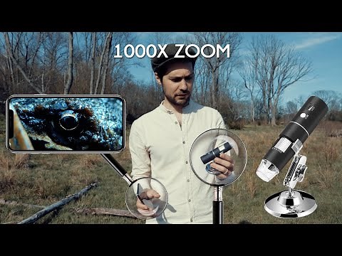 1000X Zoom Microscope Camera Review - MAX-SEE