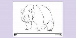Panda Colouring Sheet