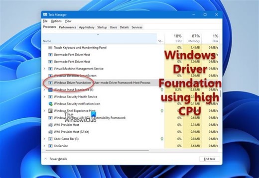 Windows Driver Foundation WUDFHost.exe using high CPU