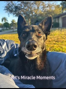 4.8K views · 254 reactions | DO YOU BELIEVE IN MIRACLES? Well if...