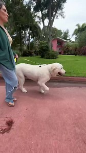 33 reactions · 3 comments | FidoAlert connects you to thousands of...