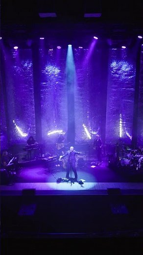 David Gray performs "Leave Taking" off new album "Dear Life" on the 2025 Past & Present Tour #shorts