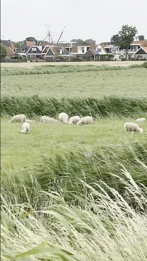 Sortly explained - The Solo Sailor