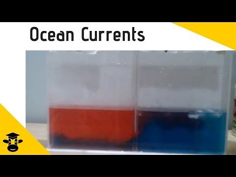 How changes in temperature create ocean currents ( Ocean Stratification Demonstration)