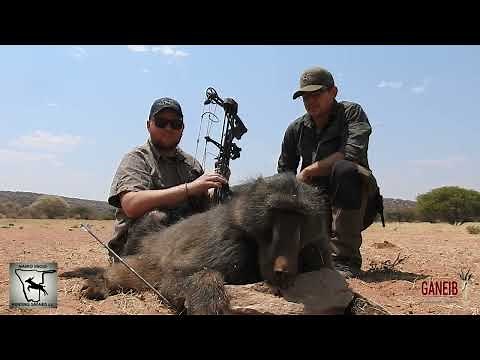 Bow hunting at Marko Sibold Hunting Safaris and Ganeib Hunting Farm in Namibia