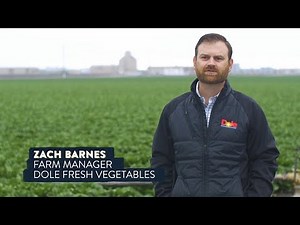 Farming the Future: Harvesting Data on Blockchain