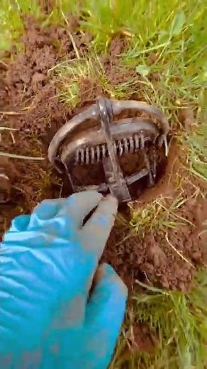 How to set a mole trap