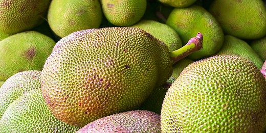 What is jackfruit and how to cook it