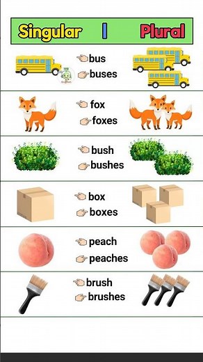 👉 Singular vs. Plural Nouns | English Grammar Basics! | Learn English #shorts