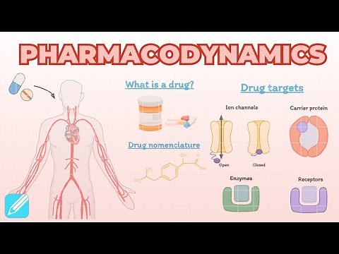 Introduction to Pharmacodynamics | Pharmacology