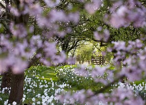 ‘The most beautiful Old Rectory in England’ - National Garden Scheme