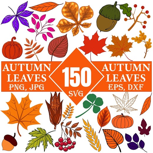 Autumn Leaves SVG Bundle: Fall Thanksgiving Graphics (150 Files) - Etsy