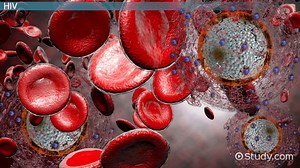 HIV Virus: Structure and Function