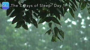 6.7M views · 218 reactions | Continue "The 7 Days of Sleep" by downloading the free Calm app. "App of the Year" - Apple  "World's Happiest App" - Humane Tech  | Calm | Facebook
