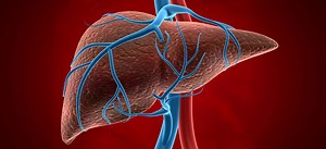 54 reactions | Your liver is a powerhouse, performing over 500 daily...