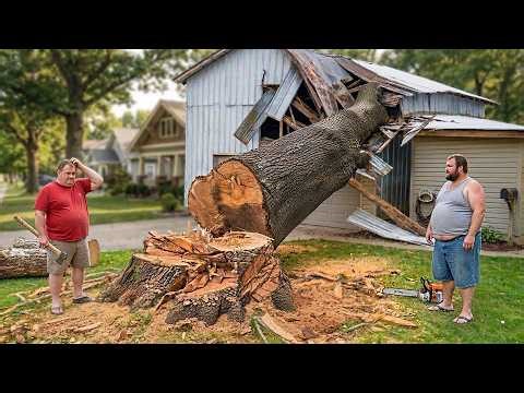 Idiots With Chainsaws: Tree Cutting Fails | Extreme Dangerous Logging Truck Fails #12