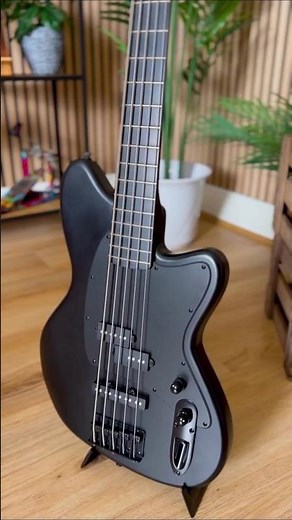 The BEST Bass for Beginners | The NEW Ibanez Talman Bass TMB425B