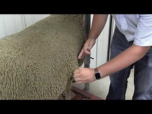 RSG Subcutaneous & Intramuscular Injections