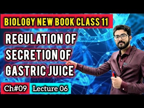 Regulation of Secretion of Gastric Juice | Nervous & Hormonal Control | Class 11 Biology New Book