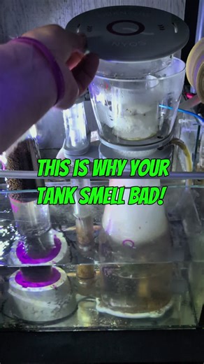 Essential Aquarium Maintenance Tips for Healthy Coral