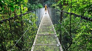 How Much Recyclable Material Ends Up In Landfills? 🚯