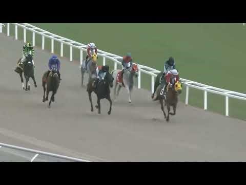 LIVE HORSE RACE IN THE USA ON 23 08 2025 @1959 Gulfstream Park