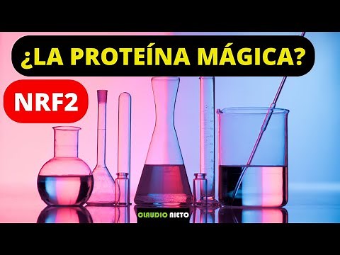 NRF2, FACTOR NUCLEAR ERITROIDE 2 ¿Qué es? Dónde se encuentra? Cómo activarla?