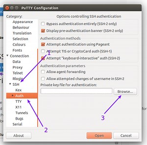 How to Log in to Your Account via SSH