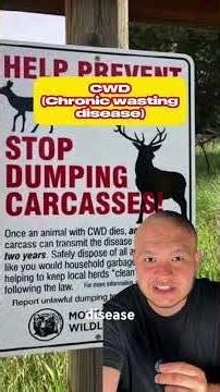 Zombie deer #creepy #horror #zombie