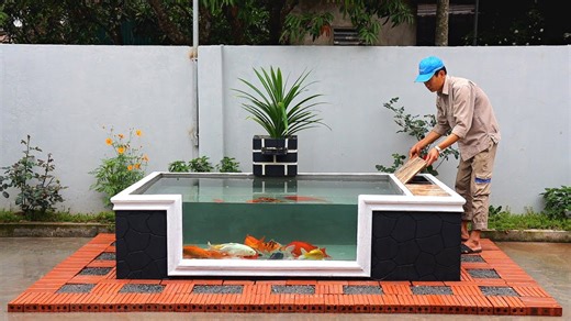 Build your first fish tank: Easy DIY aquarium