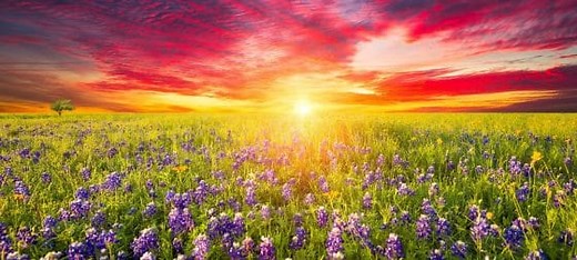 How to Become an Insurance Adjuster in Texas