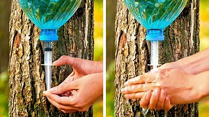 52M views · 9.1K reactions | Brilliant camping hacks for your next trip | 5-Minute Crafts | Facebook