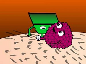 How to Guides Presents - Blowing a Raspberry on a Belly