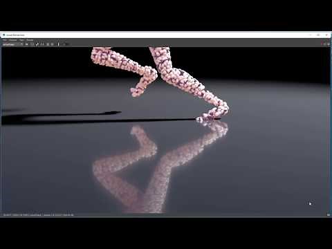 Maya: Reflections (Arnold)