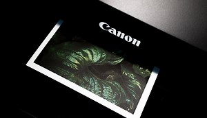 What Is The Best Printer For Art Prints And Artists?