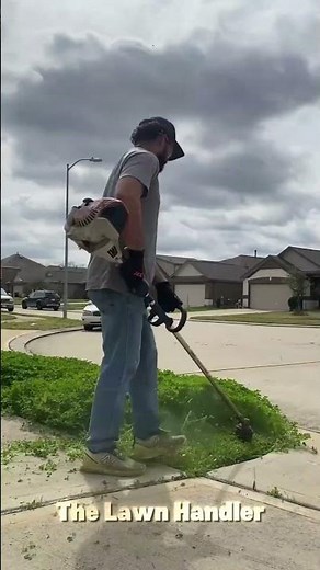 Cleaning | Mowing | Edging #shorts #satisfying #gardening