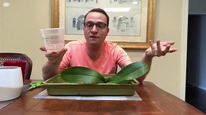 How to Repot an Orchid - An Illustrated How-To Guide